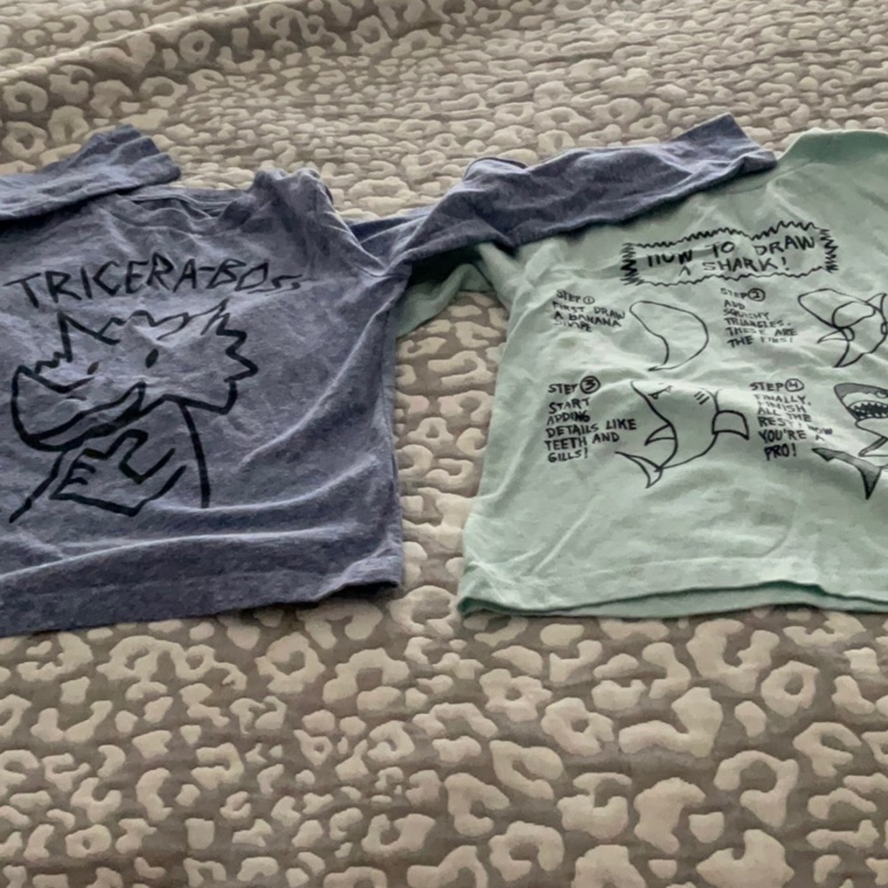 2 Boy Shirts